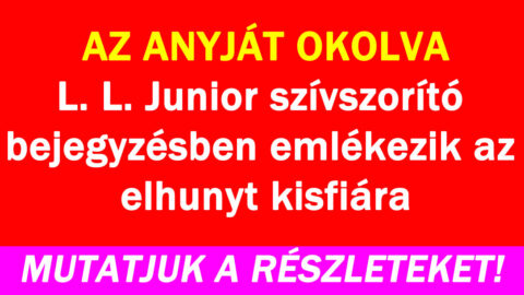 L. L. Junior szívszorító bejegyzésben emlékezik