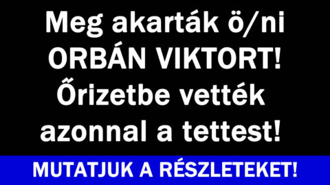 Őrizetbe vették azonnal!
