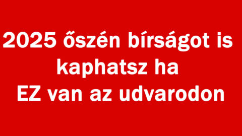 2025 őszén bírságot is kaphatsz ha EZ van az udvarodon