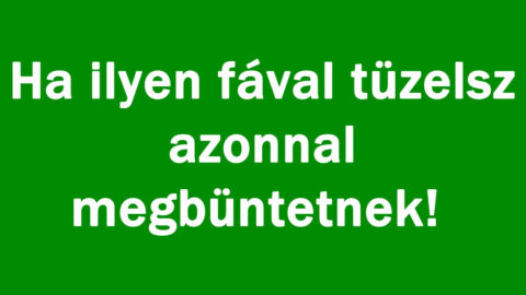 Ha ilyen fával tüzelsz azonnal megbüntetnek!
