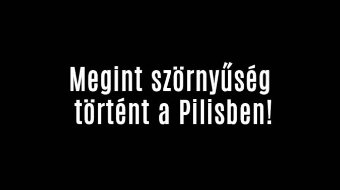 Megint borzasztó dolog történt a Pilisben!