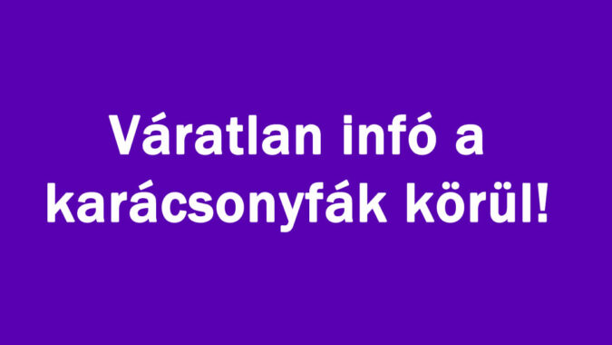 Váratlan infó a karácsonyfák körül!