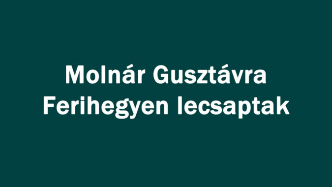 Molnár Gusztávra Ferihegyen lecsaptak