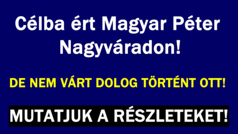 Magyar Péter Nagyváradon