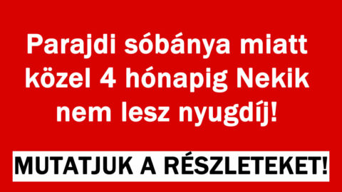 Parajdi sóbánya miatt van minden