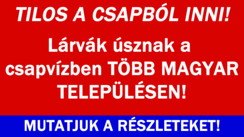Lárvák úsznak a csapvízben!