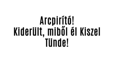 Arcpirító! Kiderült, miből él Kiszel Tünde!