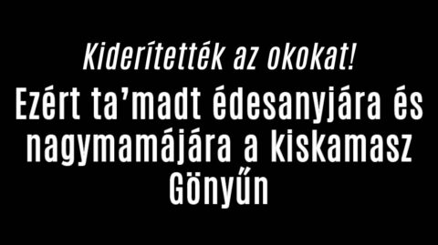 Ezért tá-madt szüleire a kiskamasz Gönyűn