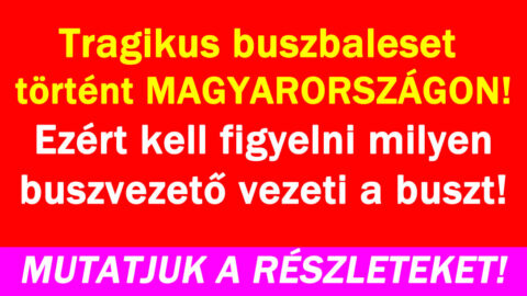 Tragikus buszbaleset történt!