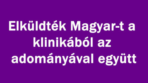 Elküldték Magyar-t a klinikából az adományával együtt