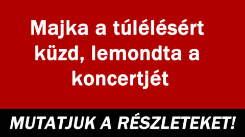 Majka a túlélésért küzd, lemondta a koncertjét