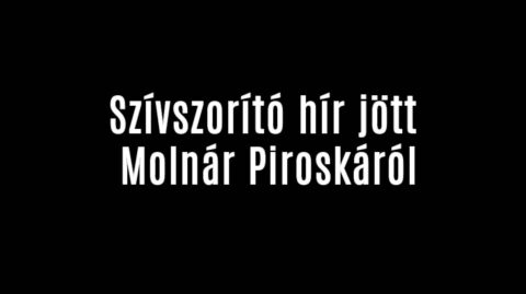 Szívszorító hír jött Molnár Piroskáról