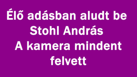 Élő adásban aludt be Stohl András! A kamera mindent vett!