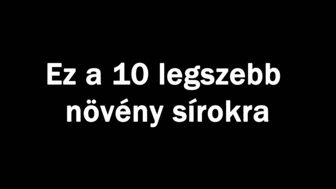 Ez a 10 legszebb növény sírokra