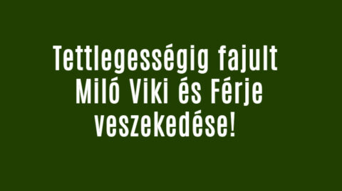 Tettlegességig fajult Miló Viki és Férje veszekedése!