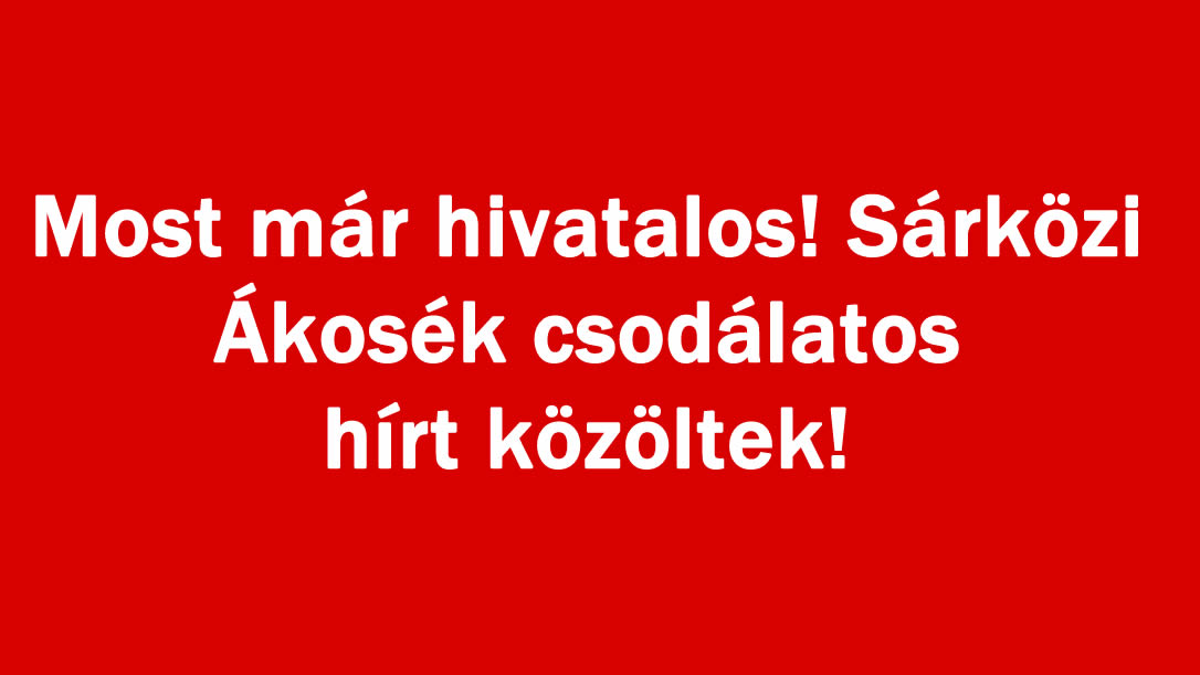 Most már hivatalos! Sárközi Ákosék csodálatos hírt közöltek!