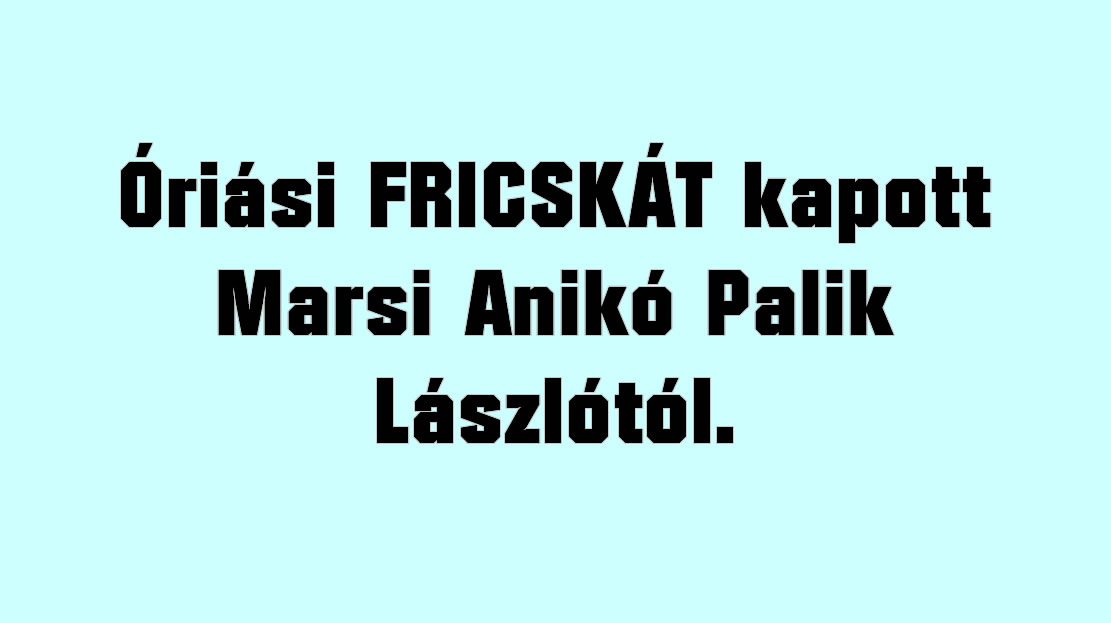 Óriási FRICSKÁT kapott Marsi Anikó Palik Lászlótól!