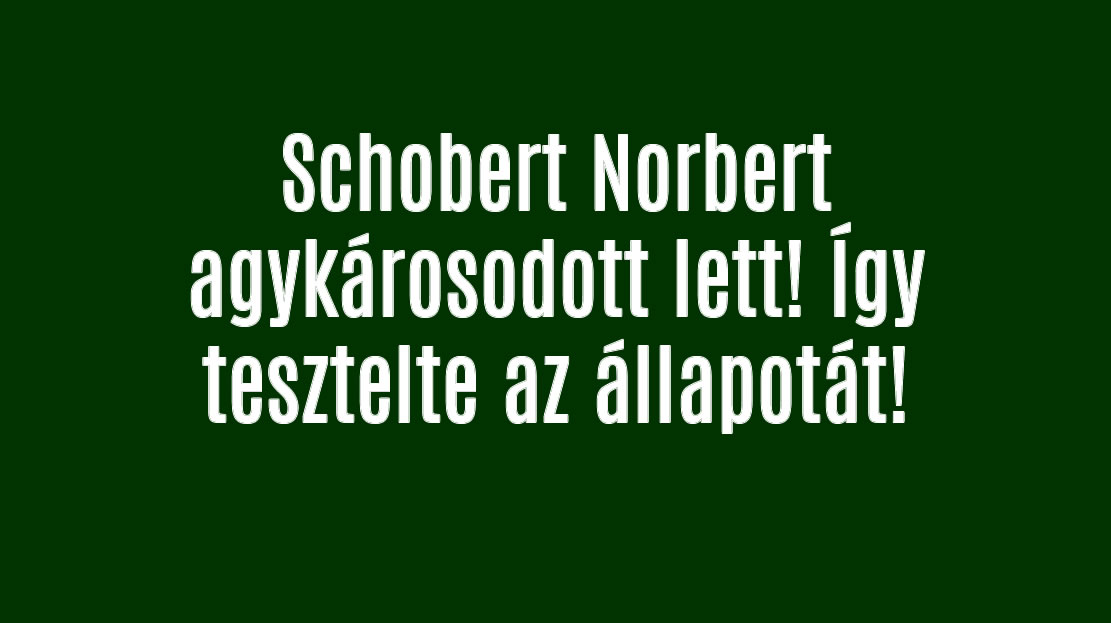 Schobert Norbert agykárosodott lett! Így tesztelte az állapotát!