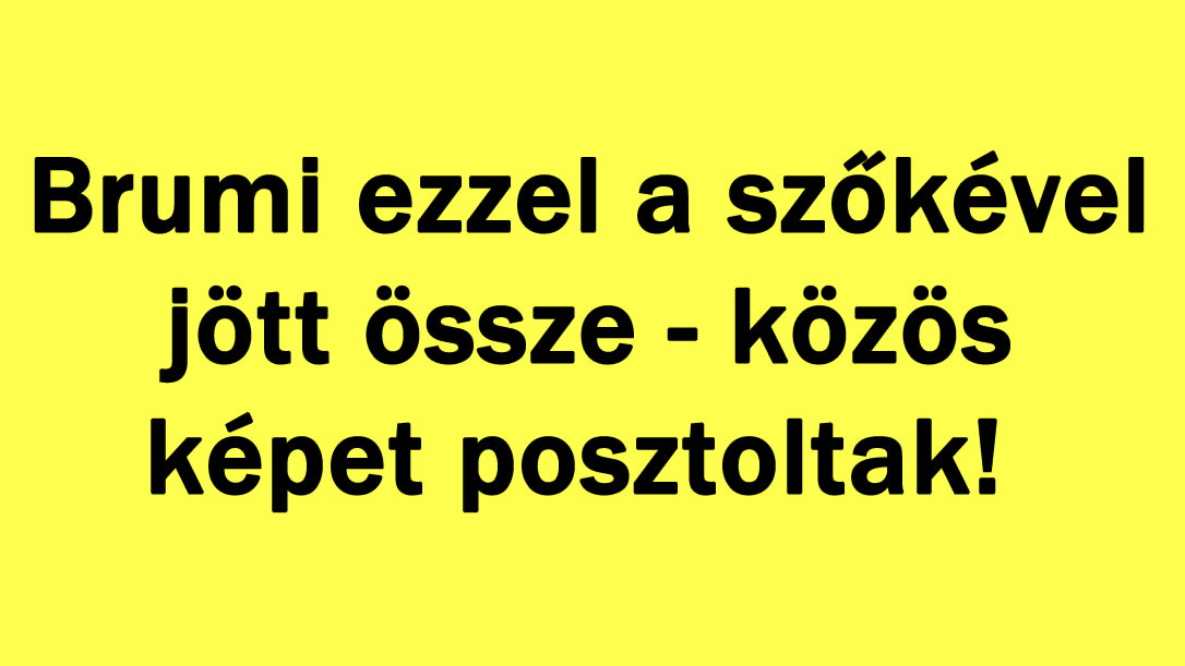 Brumi ezzel a szőkével jött össze – közös képet posztoltak!