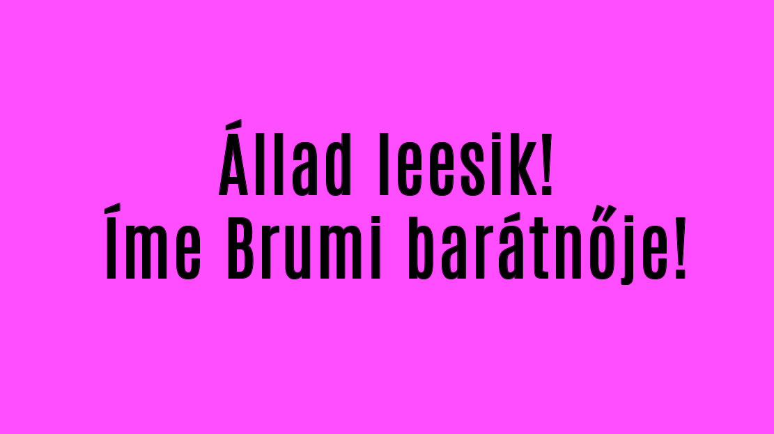 Állad leesik! Íme Brumi barátnője!