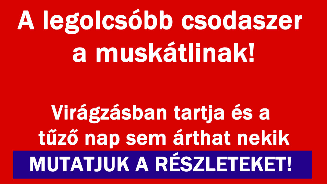 A legolcsóbb csodaszer a muskátlinak!