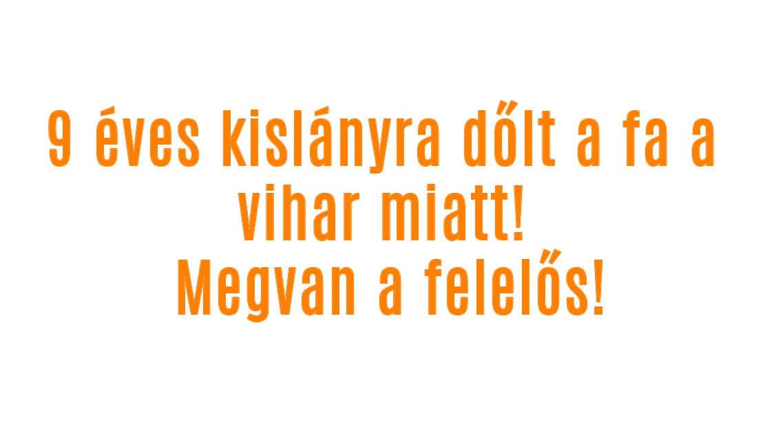 9 éves kislányra dőlt a fa a vihar miatt! Ő a felelős!