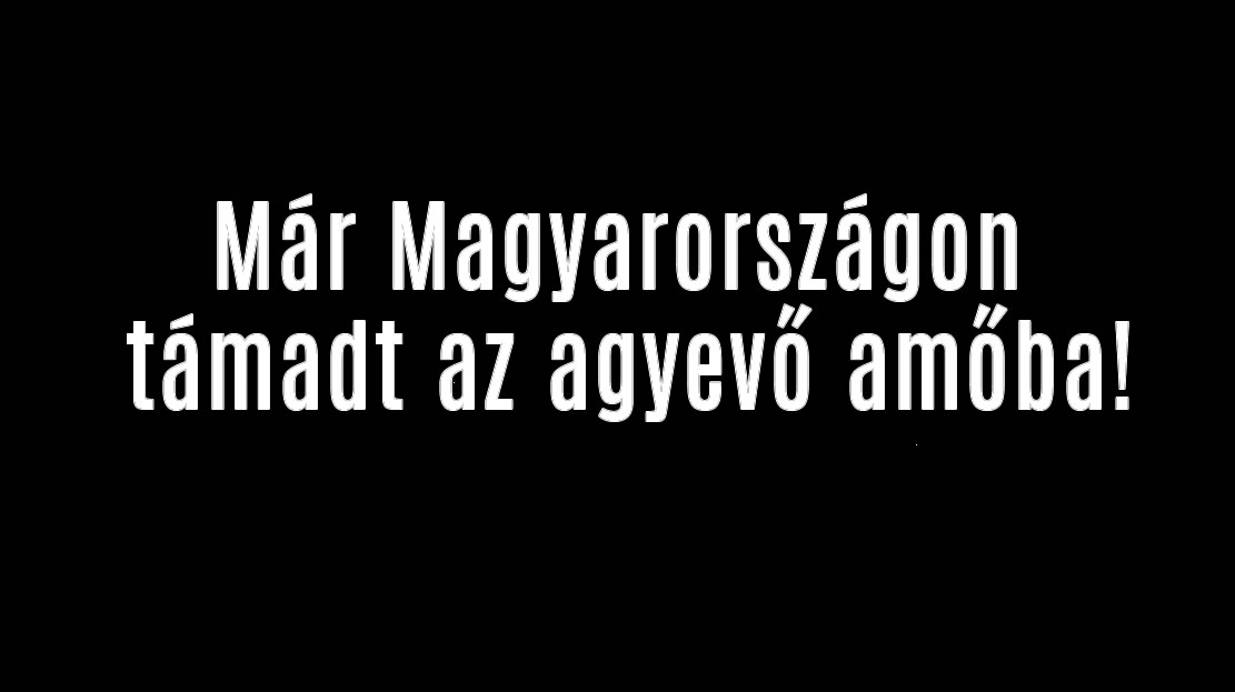 Már magyarországon támadt az agyevő amőba!
